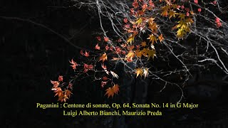 Paganini  Centone di sonate Op 64 Sonata No 14 in G Major [upl. by Abas]