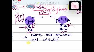 CVS Physiology  Physiology of Cardiac Muscle I  Mutah [upl. by Anehs662]