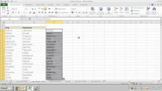 EXCEL  Funkcja ZWIELKIEJLITERY [upl. by Saundra]