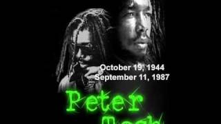 Peter Tosh  Black Dignity [upl. by Clements]