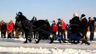 Friese paarden en arreslee op het IJsselmeer te Hindeloopen op zaterdag 11 februari 2012 [upl. by Alitta]