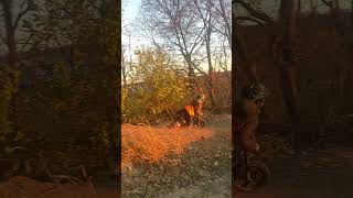 Ebike crash in my backyard trails😂 [upl. by Rinum]