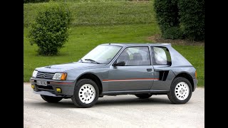 Peugeot 205 T16 [upl. by Suzzy]