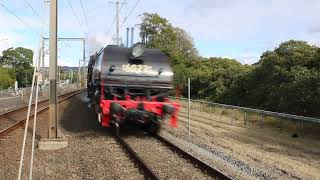 6S53 at woy woy with 6029 4201 weekend of steam 7 7 24 [upl. by Gillespie]