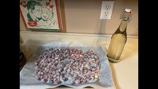 Vlogmas Episode 2  Making Sugared Cranberries and Cranberry Simple Syrup [upl. by Lilyan340]