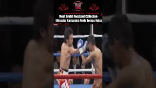 1 Of Boxings Most Brutal Knockouts Shinsuke Yamanaka Folds Tomas Rojas With A Lethal Left Hand [upl. by Dlabihcra]