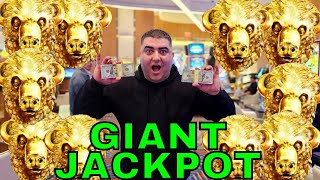 Over 600x MASSIVE JACKPOT On Buffalo Gold [upl. by Alwyn83]