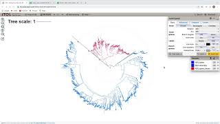 Phylogentic tree tutorial [upl. by Enilemme]