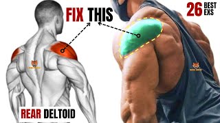 26 BEST REAR DELTOID EXERCISES AT GYM [upl. by Nodgnal580]