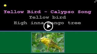 Yellow Bird Lyrics [upl. by Kono]