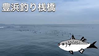 豊浜漁港と豊浜釣り桟橋で釣り🎣 [upl. by Enyluqcaj533]