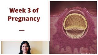 Week 3 of Pregnancy  Weekly Pregnancy Tips in Kannada [upl. by Ahsya]