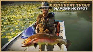 The ANGLER  Diamond Cutthroat Trout Hotspot [upl. by Tallou]