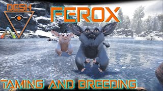 Ferox Taming and Breeding  ARKSurvival Evolved [upl. by Lramaj]