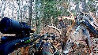 Barnett Raptor PRO STR Crossbow Deer Hunt BUCK DOWN [upl. by Dang]