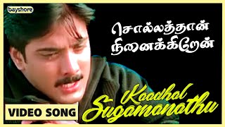 Kadhal Sugamanathu  Sollathaan Ninaikkiren Video Song  Tarun  Sneha  Sivaji [upl. by Corron839]