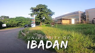 Virtual Tour of The First University in Nigeria  University Of Ibadan [upl. by Einalem957]