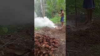 Charcoal making from coconut shell travel hogfarmers 🤗🤗🤗🤗 [upl. by Nangatrad]