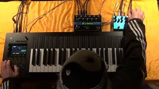 Expressive E Osmose Song with Strymon Cloudburst [upl. by Nwadal692]