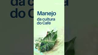 Manejo da Cultura do Café com Luciano Bueno Maçanares [upl. by Merrell732]