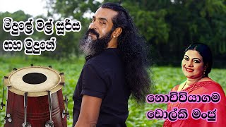 Midule Mal Sooriya Gaha මිදුලේ මල්  Chandrika Siriwardenadholki cover nochchiyagama dholk manju [upl. by Acinna880]