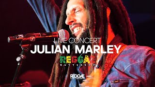 Julian Marley and the Wailers legendary performance at Reggae Rotterdam Festival [upl. by Sascha]