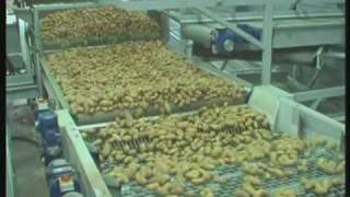 SGE 2 Potato Packhouse Handling [upl. by Hertz]