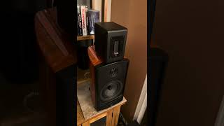 Aperion Audio Verus V5B Bookshelf Speaker shorts speaker loudspeaker hifi stereo [upl. by Nosiram830]