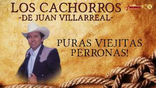 Los Cachorros De Juan Villarreal  Puras Viejitas Perronas [upl. by Els]