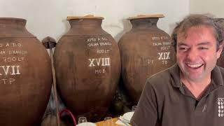 Reviving a tradition making wine in large clay amphorae in Portugals Alentejo region [upl. by Honniball]