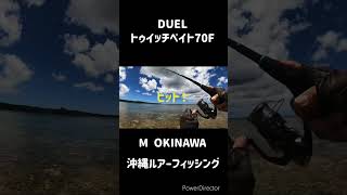 トゥイッチベイト70Fでイシミーバイ 沖縄釣り 沖縄ルアー釣り 釣り [upl. by Rasure]