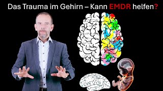 Das Trauma im Gehirn  Kann EMDR hier helfen [upl. by Jaclin]