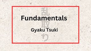 Fundamentals  Gyaku Tsuki [upl. by Frodi299]