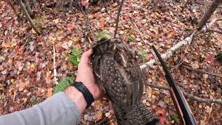 North Maine Woods Camping and Partridge Hunting [upl. by Publius393]