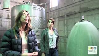 Antiyal organically grown biodynamically winery in Maipo Valley Chile [upl. by Durware]