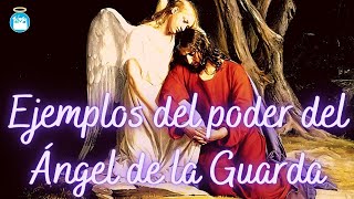 5 Ejemplos del Poder del Ángel Custodio o Ángel de la Guarda [upl. by Ienttirb]