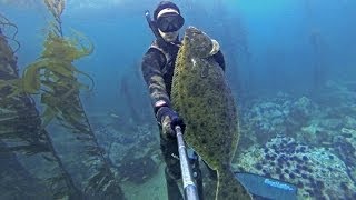 Spearfishing California Trophy Halibut [upl. by Ellenuahs]