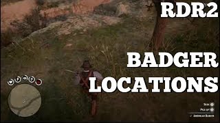 RDR2 BADGER LOCATIONS [upl. by Ailhad864]