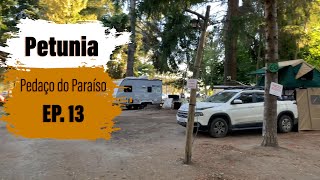 EP 13  Camping Petunia em Bariloche com Barraca de Teto  Projeto Patagônia Argentina [upl. by Enileme]