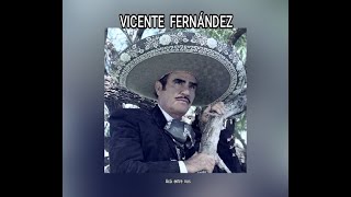 VICENTE FERNÁNDEZ  ACÁ ENTRE NOS LETRA [upl. by Ttnerb]