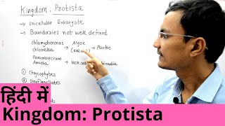 Kingdom Protista in Hindi [upl. by Nnylorac]