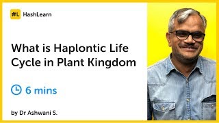 What is Haplontic Life Cycle in Plant Kingdom [upl. by Gesner638]