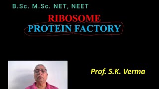 RIBOSOME STRUCTURE AND FUNCTION [upl. by Aiuoqes306]