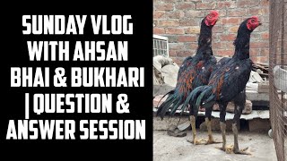 Sunday vlog with Ahsan Bhai amp bukhari  Question amp Answer session [upl. by Cob]