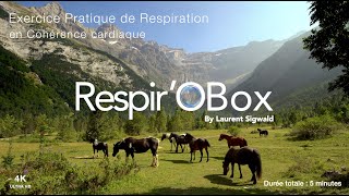 Exercice de respiration by Laurent Sigwald cohérence cardiaque  La Prairie du Cirque de Gavarnie [upl. by Krystin]