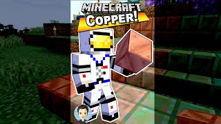 How You Can Get Minecraft Copper Ore Uses Builds Facts  YouTube shorts [upl. by Wright]