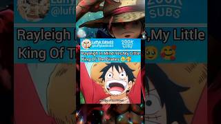 Rayleigh In Mind Yes My Little King Of The Pirates luffy rayleigh zoro sanji onepiece [upl. by Gnanmos]