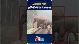 AI Track Detection System ने कैसे रोकी हाथियों से ट्रेन की टक्कर   AI Anchor Sana youtubeshorts [upl. by Ettedualc859]