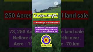 250 Acres Agriculture land sale  Nellore district  Dagadarthi near Acre  10 lakhs [upl. by Iclehc]