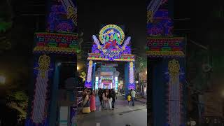 Puja Pandal Sri bhumi  Durga Pujakolkata westbengal durga durgapujapandal [upl. by Adnorhs]